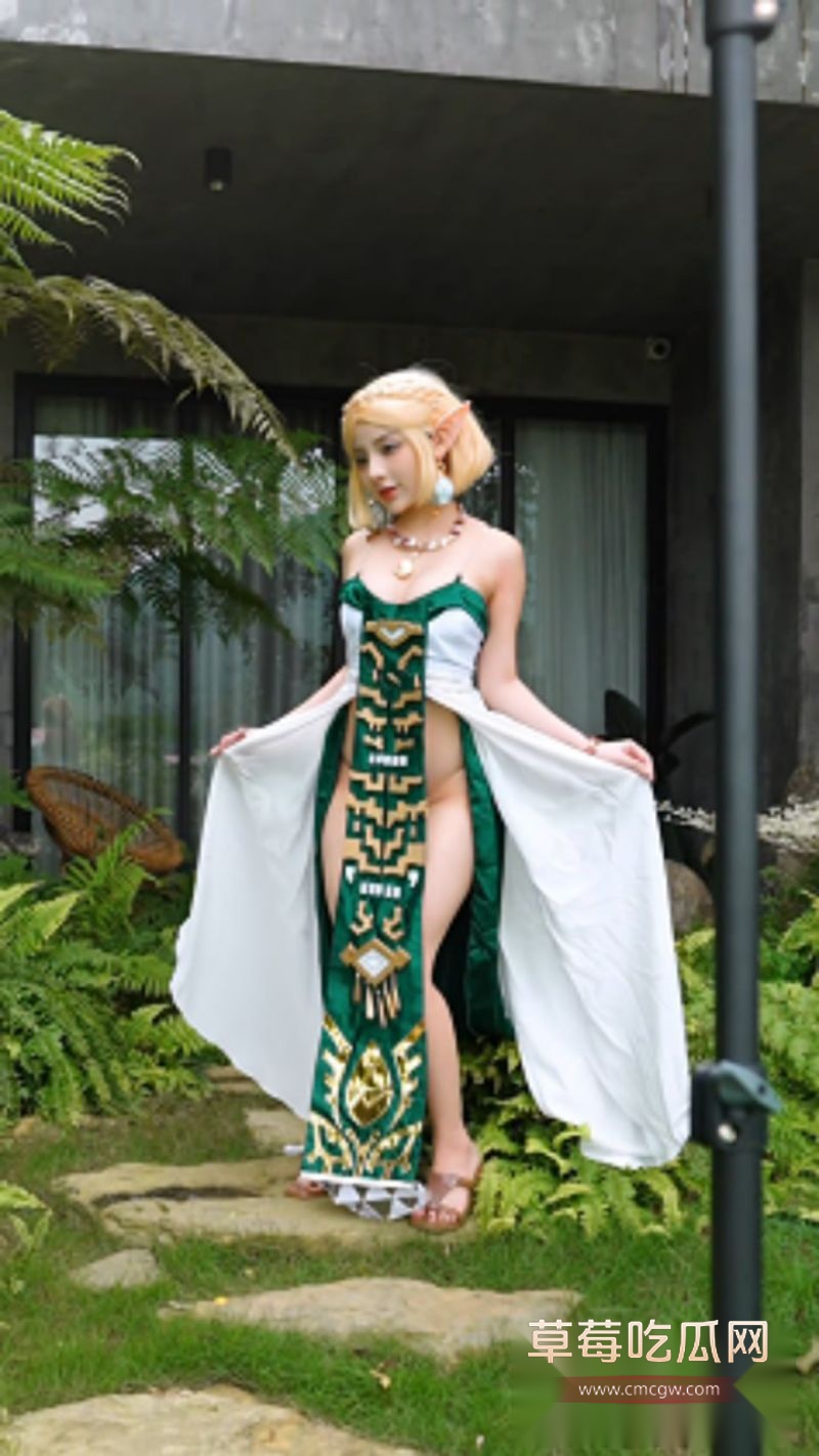 塞尔达公主写真1