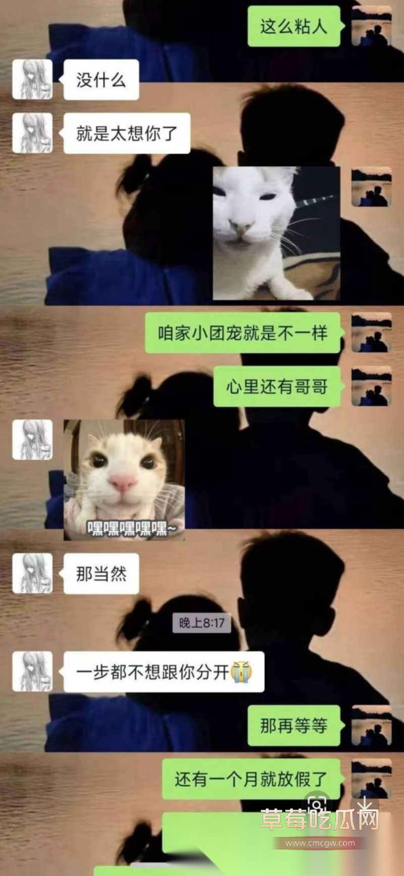 小仙女的炸裂发言 12 小仙女的炸裂发言 12
