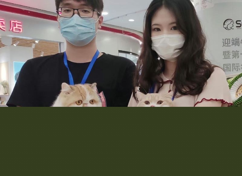 江南第一深情童锦程的前女友直播录屏流出7 江南第一深情童锦程的前女友直播录屏流出7