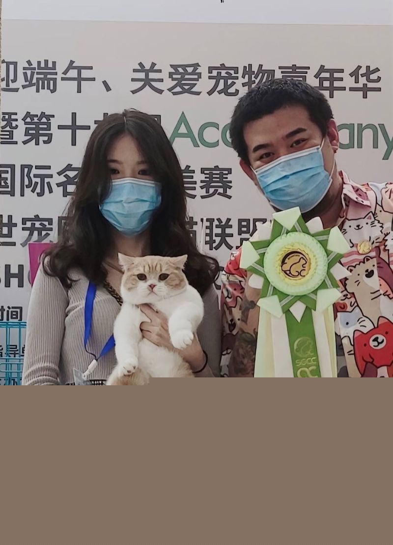 江南第一深情童锦程的前女友直播录屏流出8 江南第一深情童锦程的前女友直播录屏流出8