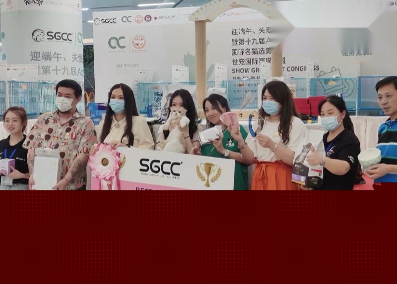 网友深扒童漾妈妈的具体资料1 网友深扒童漾妈妈的具体资料1