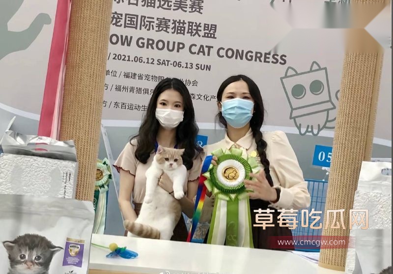 网友深扒童漾妈妈的具体资料4 网友深扒童漾妈妈的具体资料4