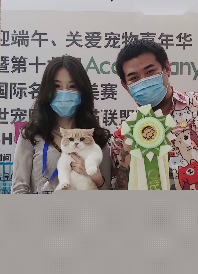 网友深扒童漾妈妈的具体资料5 网友深扒童漾妈妈的具体资料5