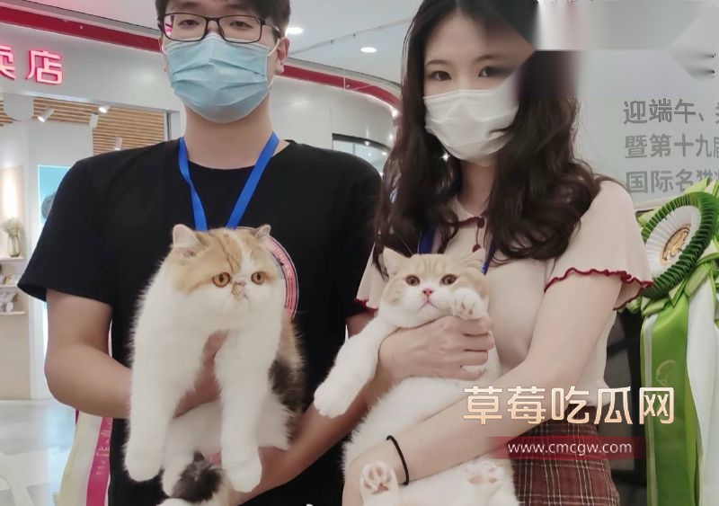 网友深扒童漾妈妈的具体资料6 网友深扒童漾妈妈的具体资料6