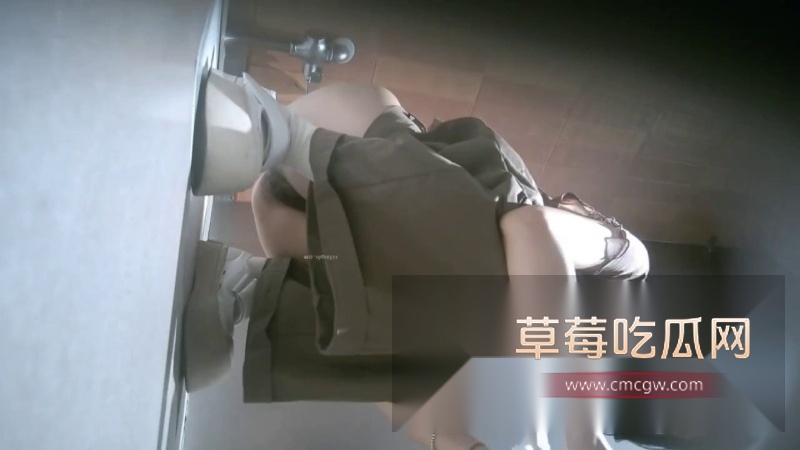 商场厕所偷拍高颜值小姐姐 3 商场厕所偷拍高颜值小姐姐 3