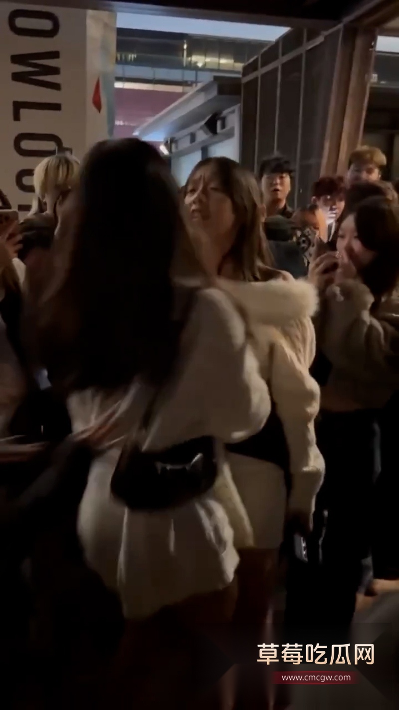 香港地铁口一女子霸凌另一女子 2 香港地铁口一女子霸凌另一女子 2
