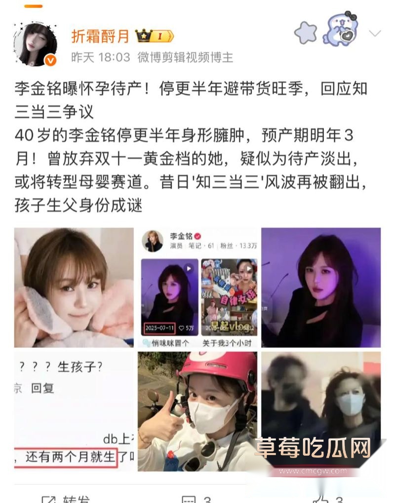 爱情公寓陈美嘉扮演者李金铭疑似怀孕3