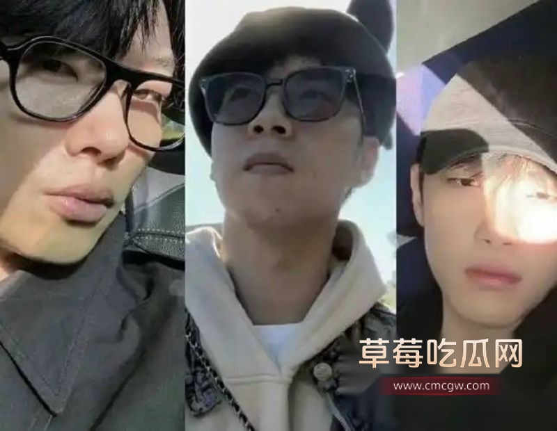 爱情公寓陈美嘉扮演者李金铭疑似怀孕9