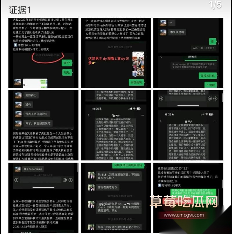 爱情公寓陈美嘉知三当三的具体细节2