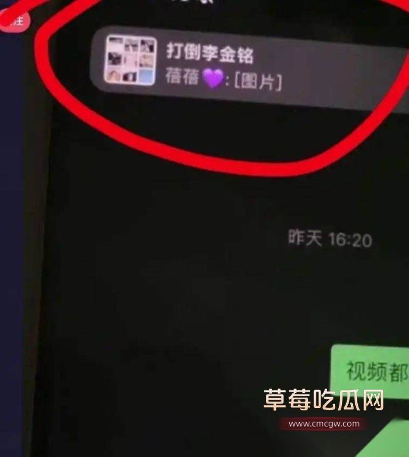 爱情公寓陈美嘉知三当三的具体细节5