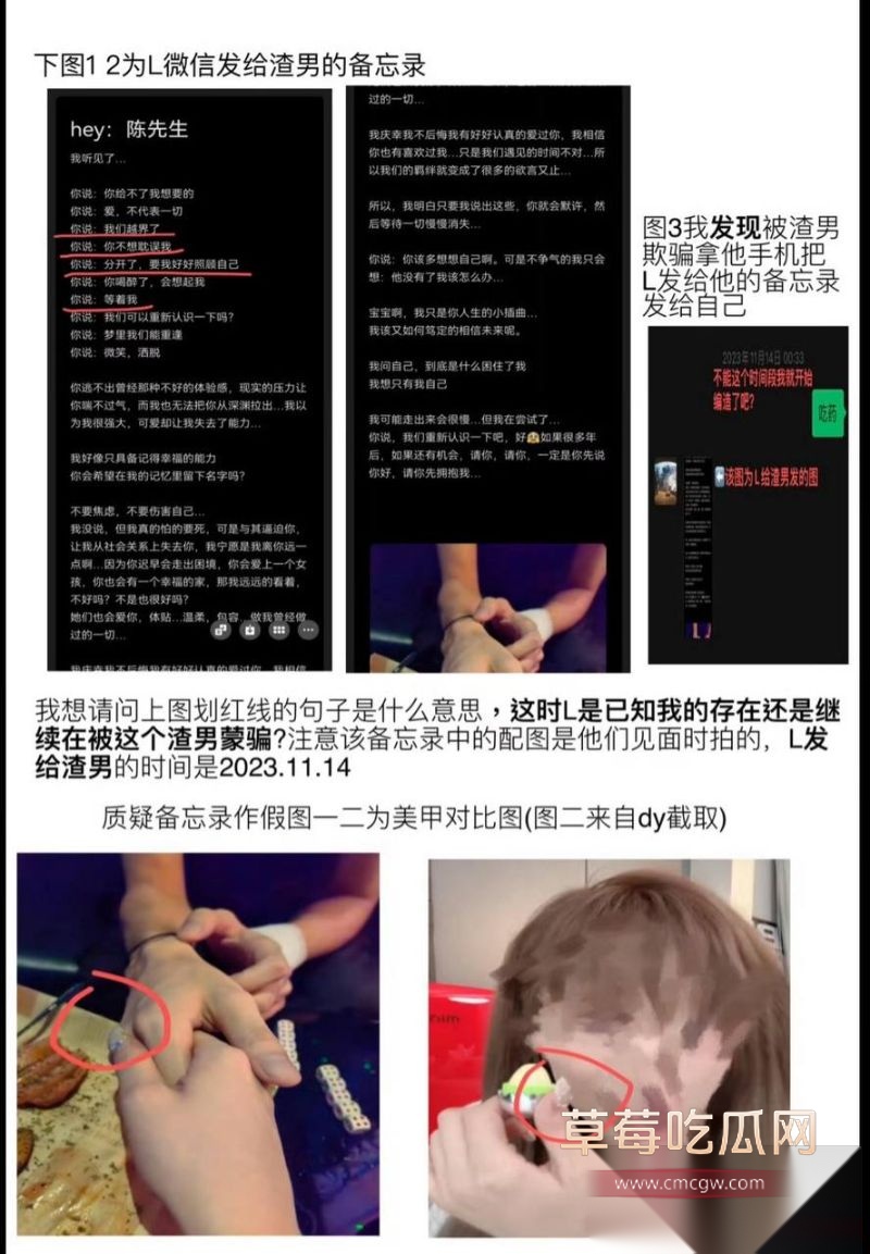 爱情公寓陈美嘉知三当三的具体细节6