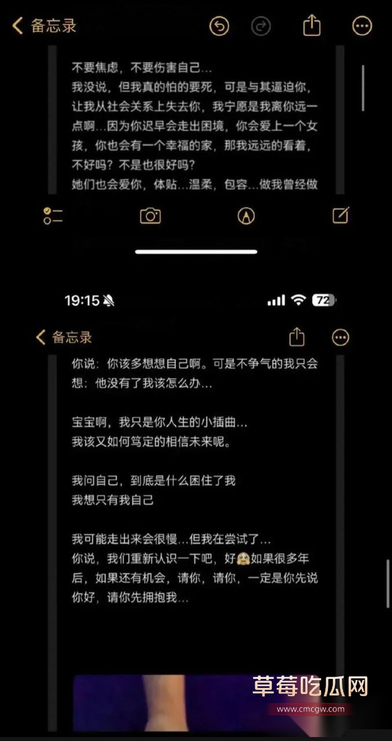 爱情公寓陈美嘉知三当三的具体细节28