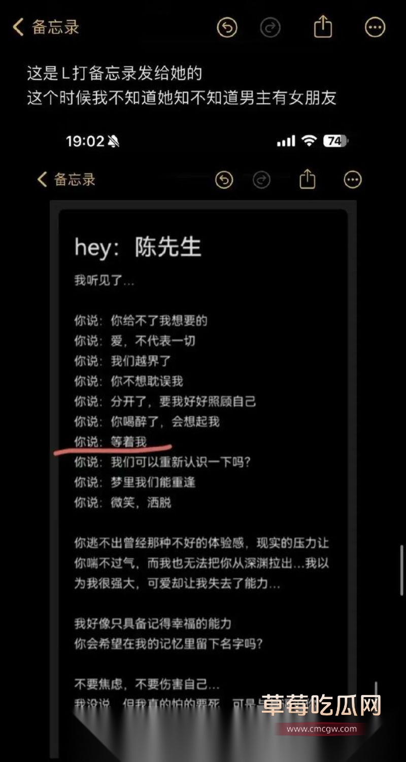 爱情公寓陈美嘉知三当三的具体细节29