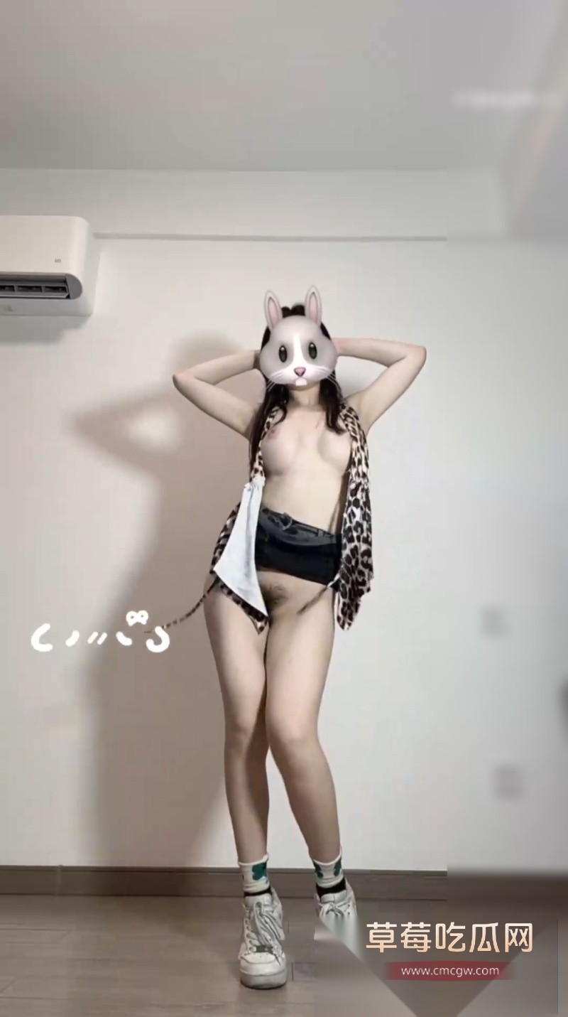 西西团队新秀蚊子 14