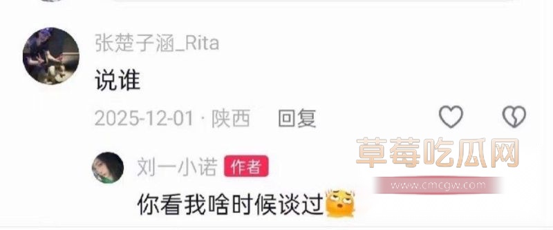 网友们对刘一诺的质疑4