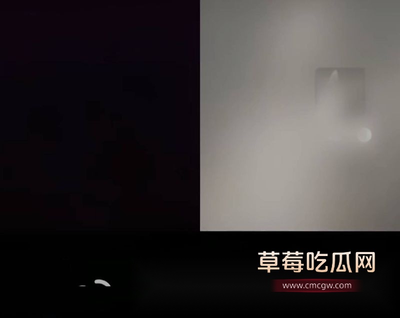 网友们对刘一诺的质疑10