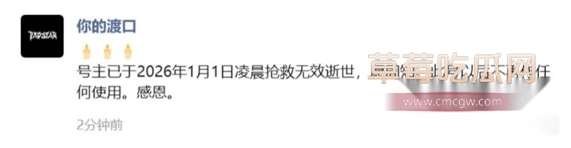 网红你的渡口元旦跨年夜猝死1