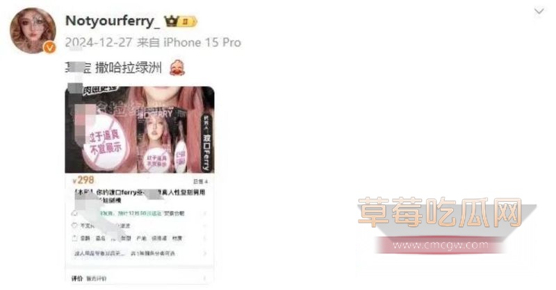 网红你的渡口生前的记录13