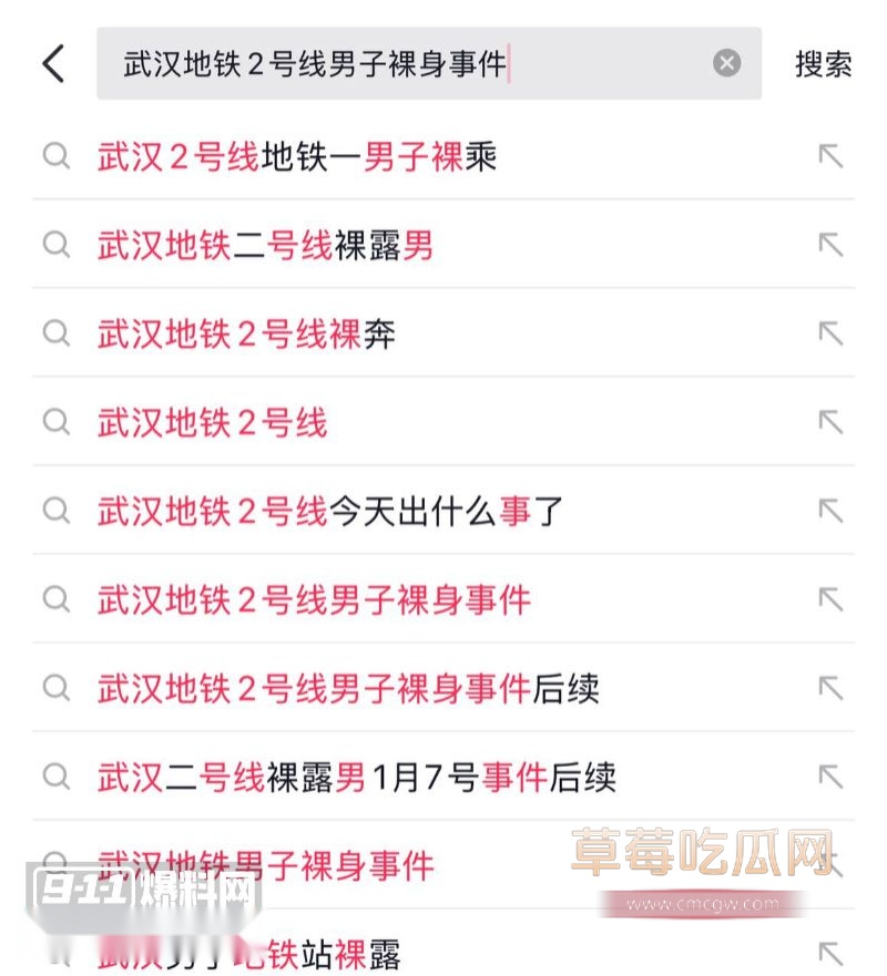 武汉地铁2号线惊现男子裸身事件3 武汉地铁2号线惊现男子裸身事件3