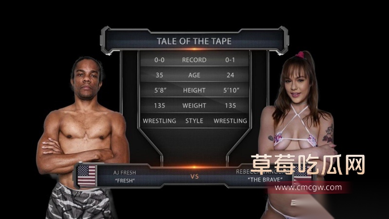 美国成人网站和工作室 26 美国成人网站和工作室 26