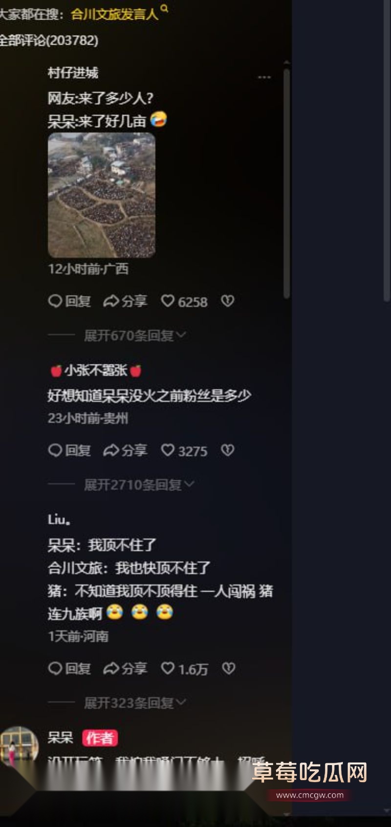 抖音重庆呆呆杀猪家门口人山人海3 抖音重庆呆呆杀猪家门口人山人海3