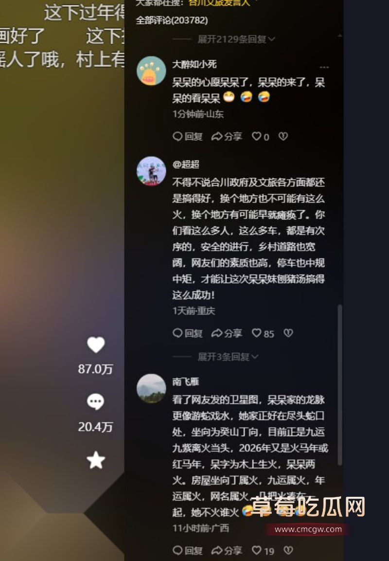 抖音重庆呆呆杀猪家门口人山人海5 抖音重庆呆呆杀猪家门口人山人海5