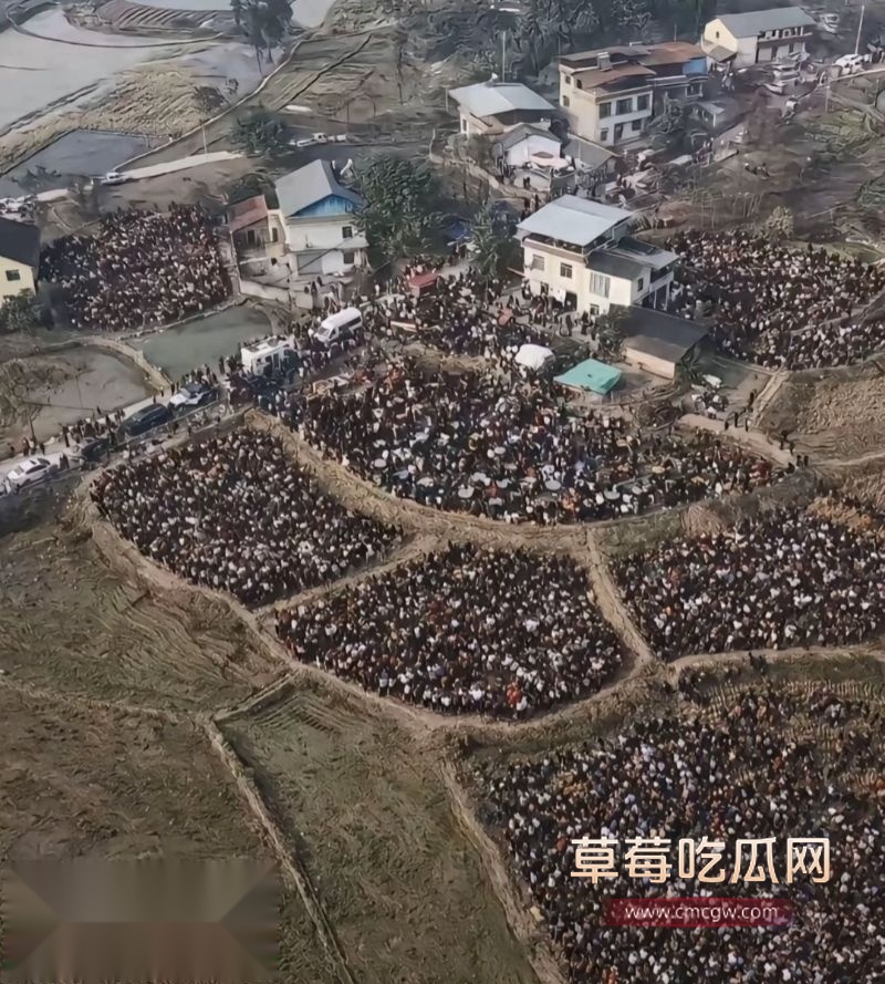 抖音重庆呆呆杀猪家门口人山人海6 抖音重庆呆呆杀猪家门口人山人海6