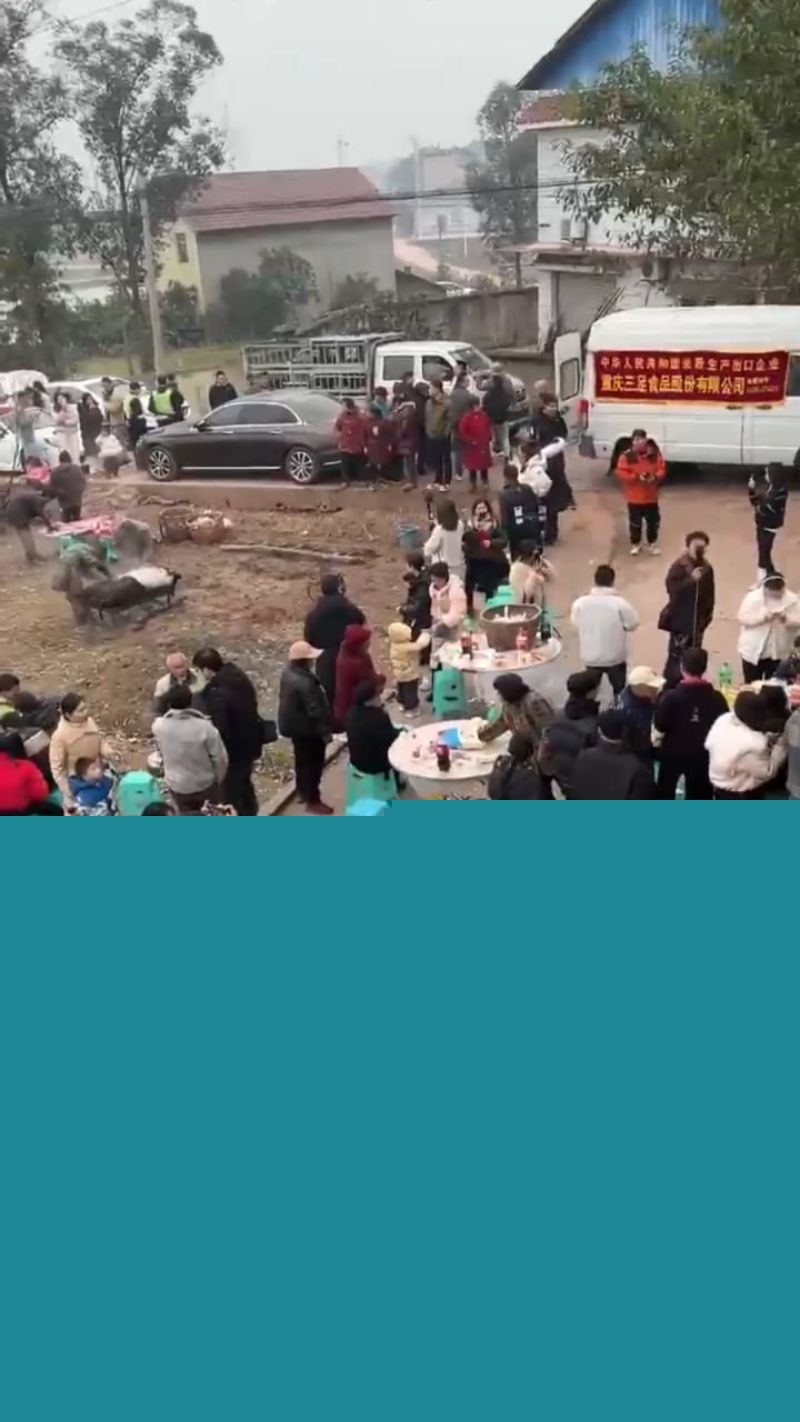 抖音重庆呆呆杀猪家门口人山人海9 抖音重庆呆呆杀猪家门口人山人海9