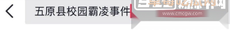 内蒙古五原县校园霸凌事件 30 内蒙古五原县校园霸凌事件 30