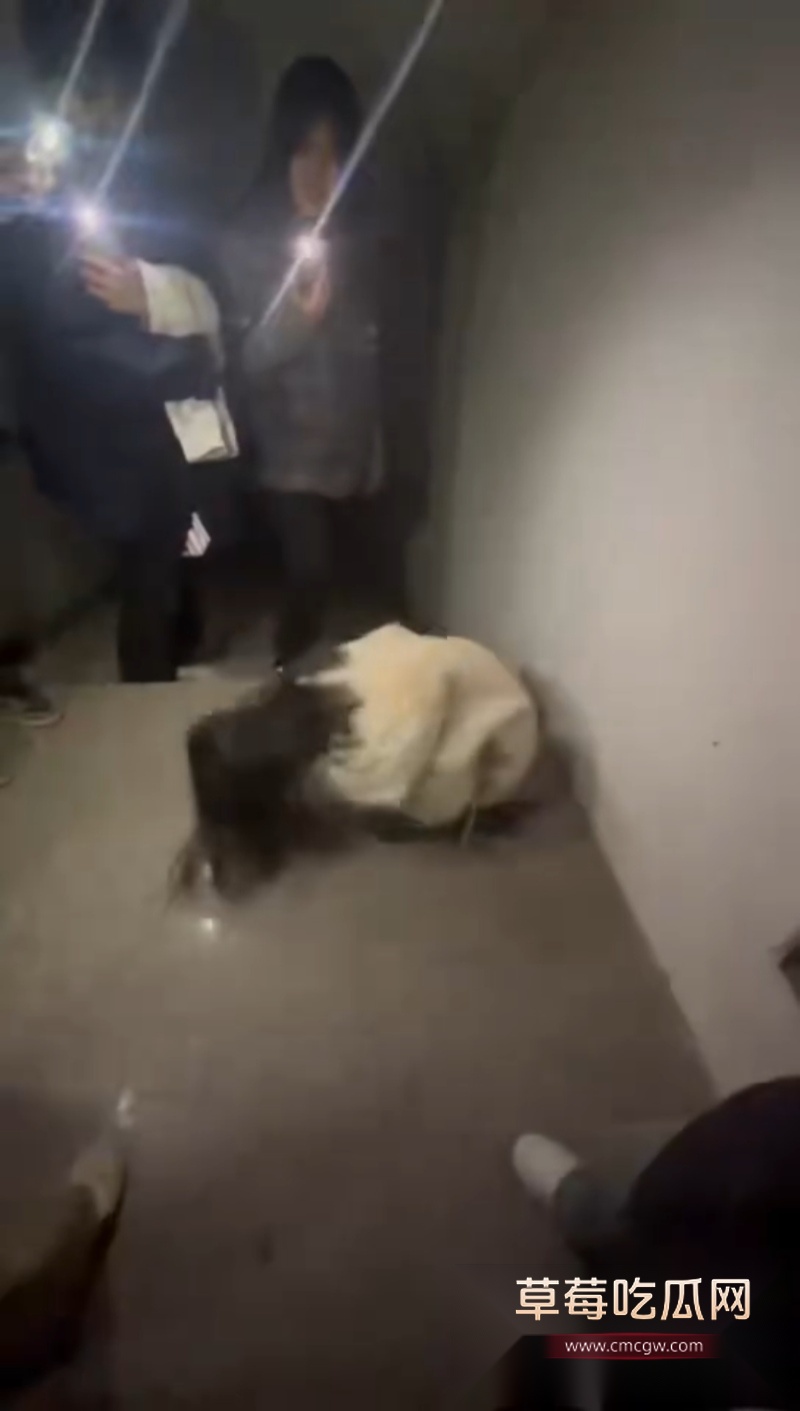 内蒙古五原县校园霸凌事件 4 内蒙古五原县校园霸凌事件 4