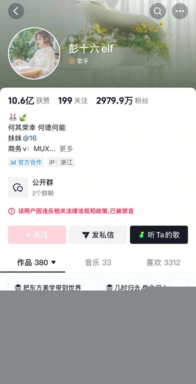 彭十六偷税漏税彻底塌房1 彭十六偷税漏税彻底塌房1