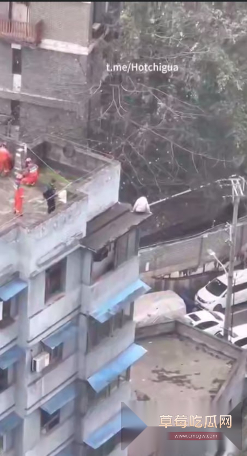 重庆一男子跳楼轻生对面楼层竟拍全程 3 重庆一男子跳楼轻生对面楼层竟拍全程 3