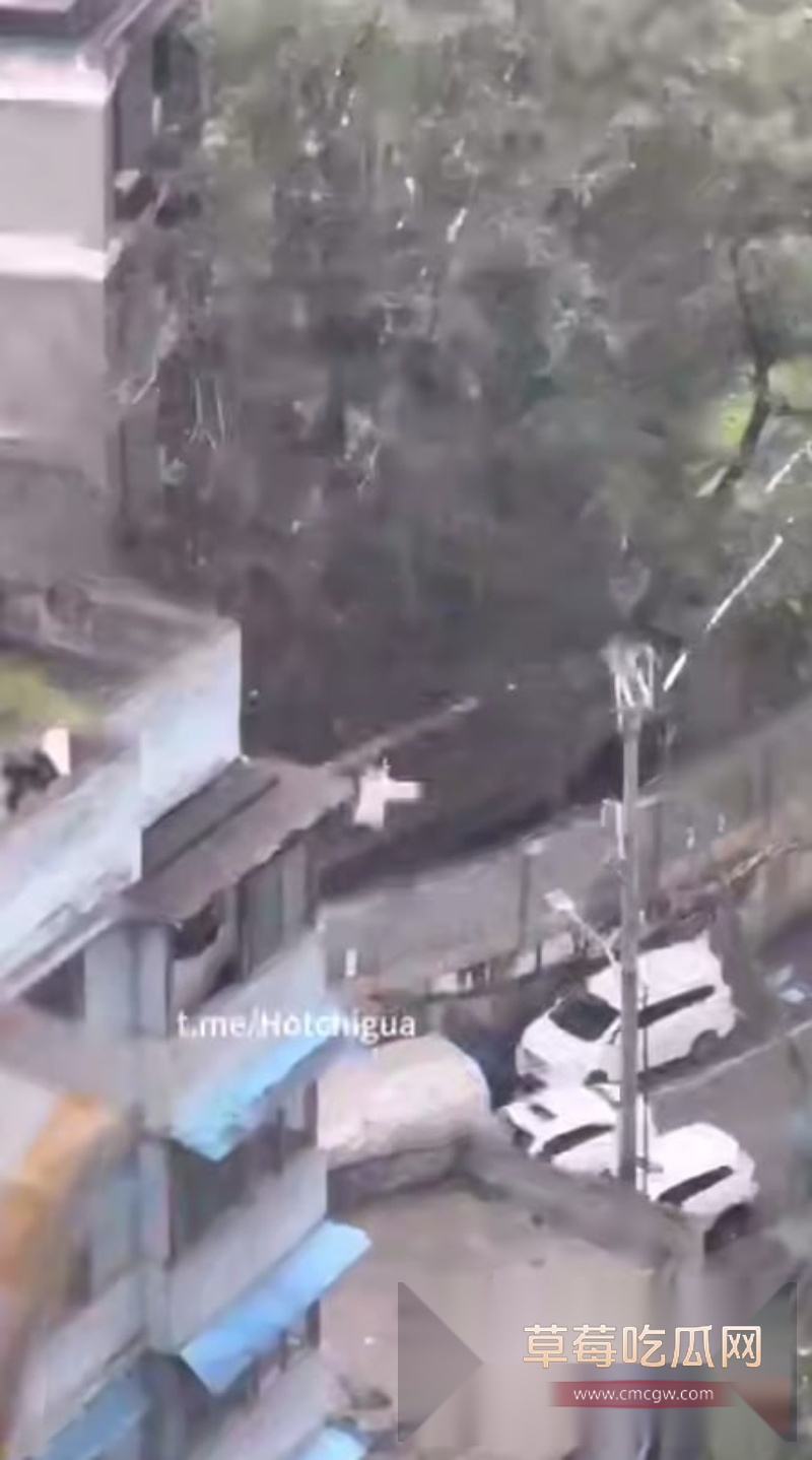 重庆一男子跳楼轻生对面楼层竟拍全程 4 重庆一男子跳楼轻生对面楼层竟拍全程 4