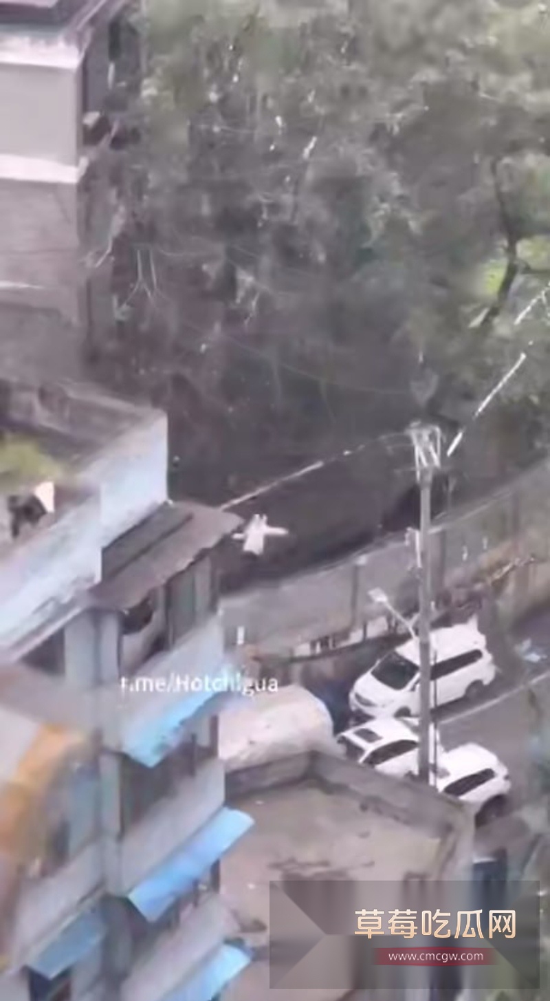 重庆一男子跳楼轻生对面楼层竟拍全程 5 重庆一男子跳楼轻生对面楼层竟拍全程 5