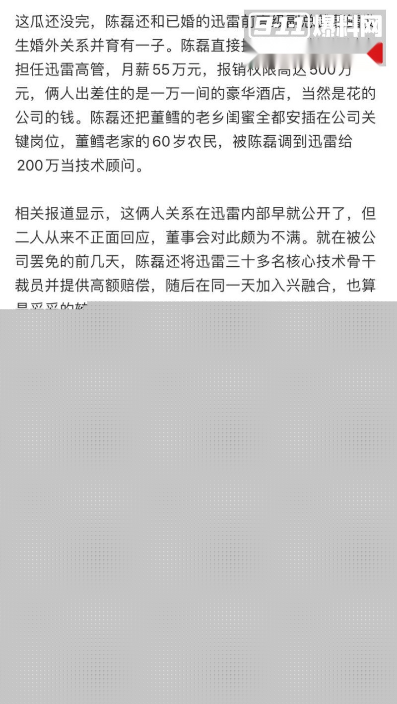 迅雷前CEO陈磊事件详情5 迅雷前CEO陈磊事件详情5