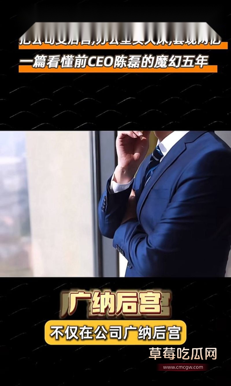 迅雷前CEO陈磊事件详情6 迅雷前CEO陈磊事件详情6