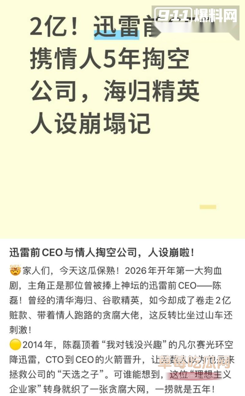 迅雷前CEO陈磊事件详情9 迅雷前CEO陈磊事件详情9