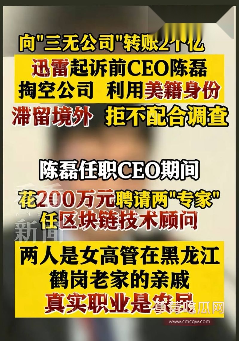 迅雷前CEO陈磊事件详情12 迅雷前CEO陈磊事件详情12