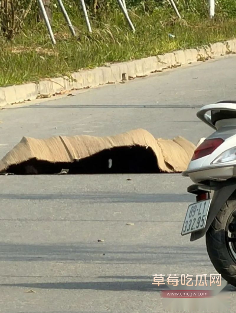 越南杀人事件详细说明2 越南杀人事件详细说明2