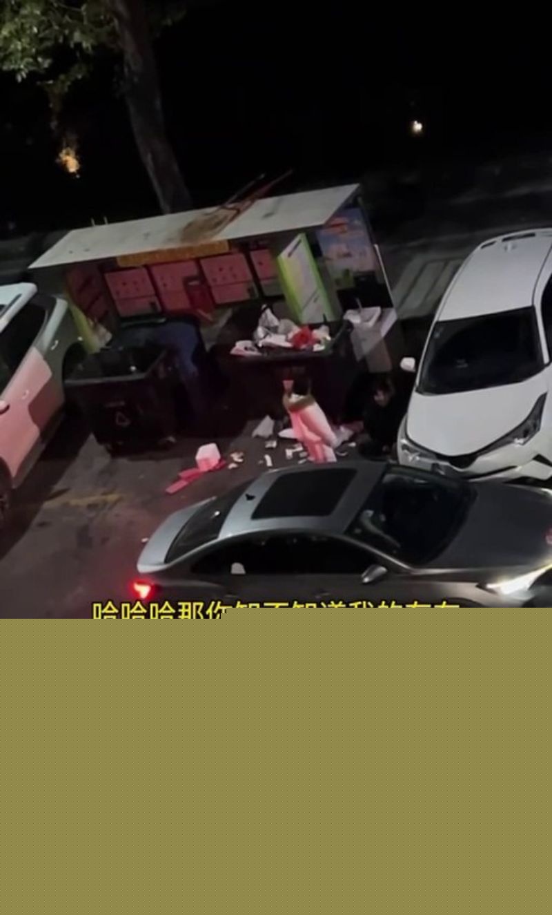 女子脚踏两条船1