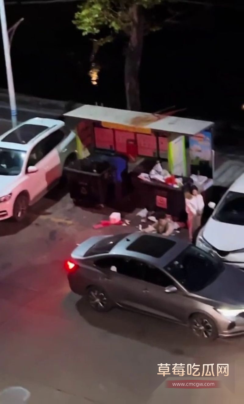 女子脚踏两条船2