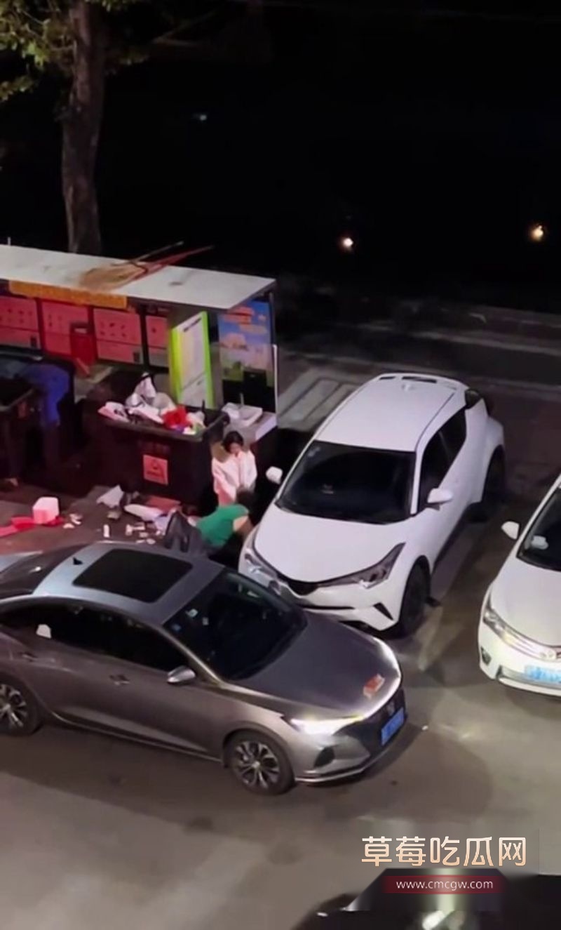 女子脚踏两条船3