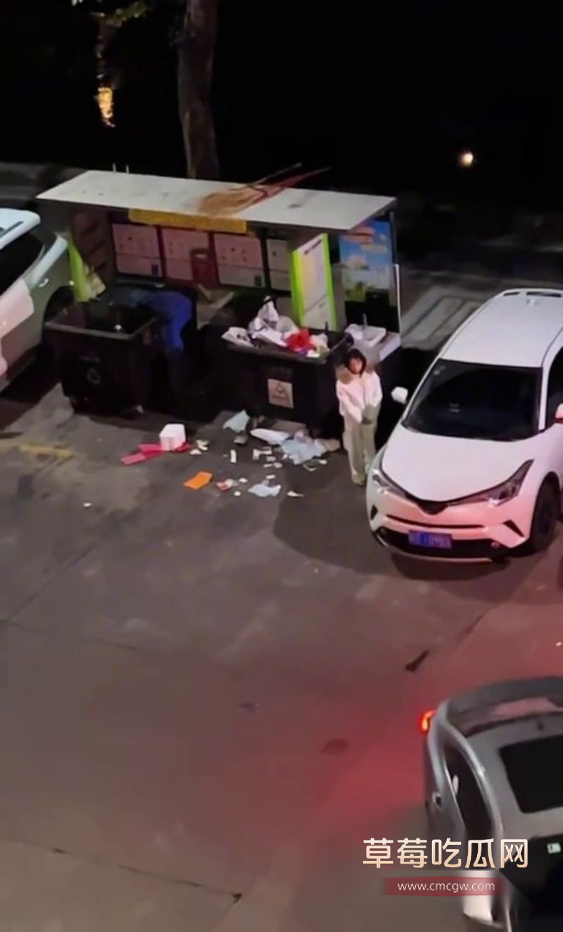 女子脚踏两条船5