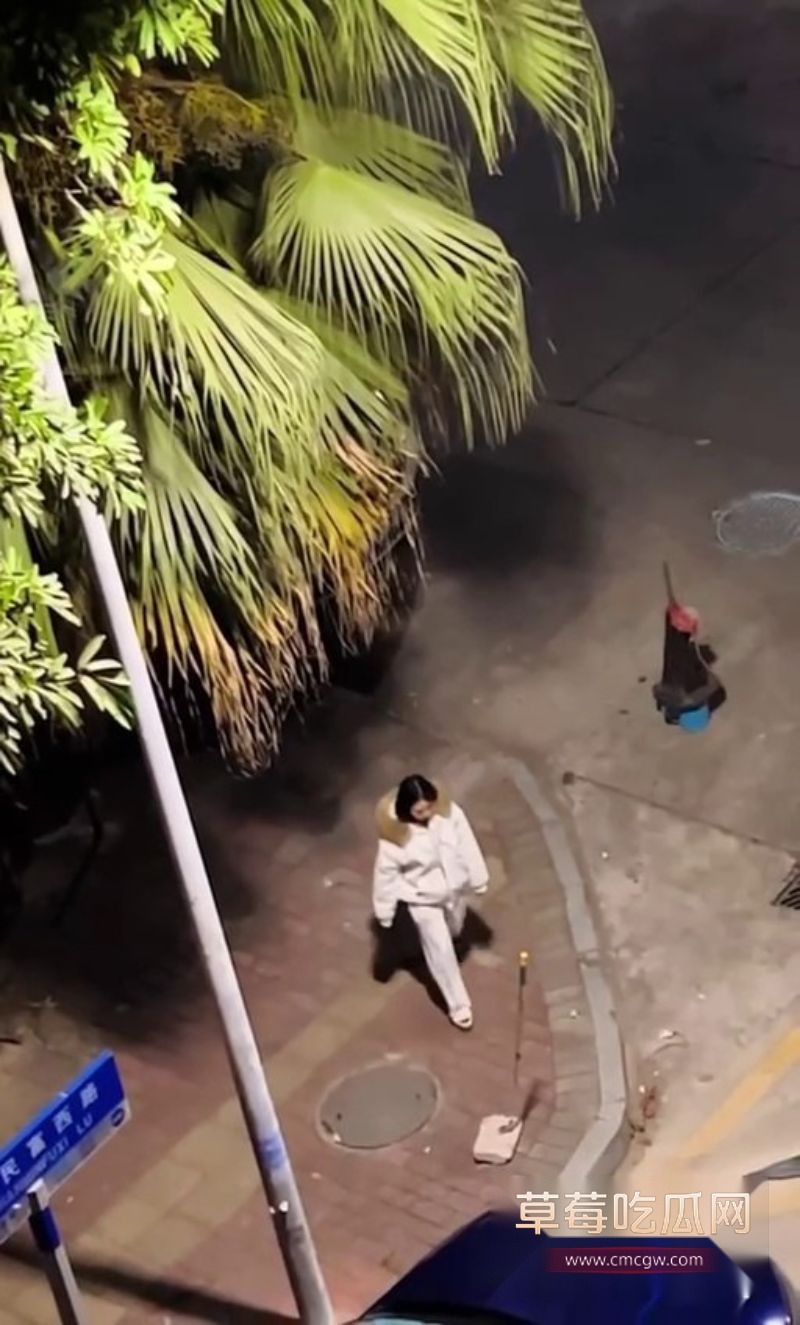 女子脚踏两条船6