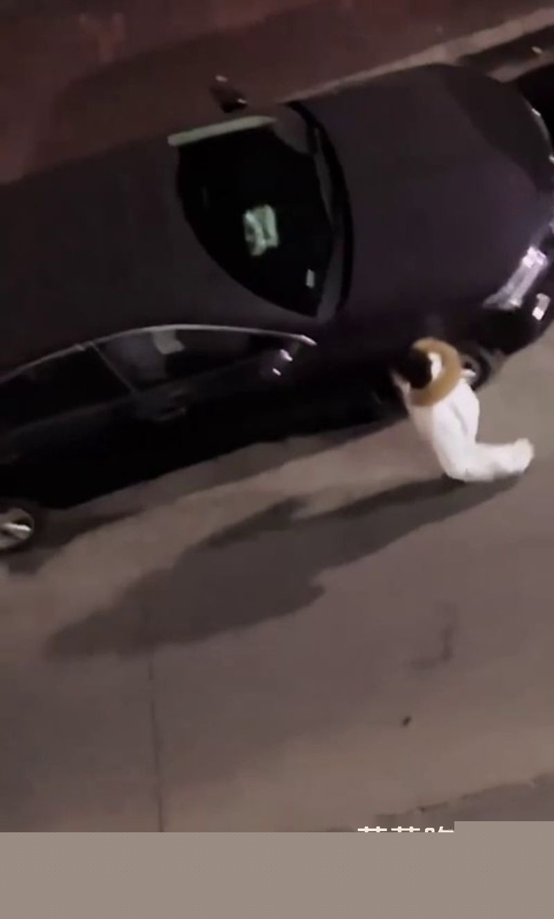 女子脚踏两条船7