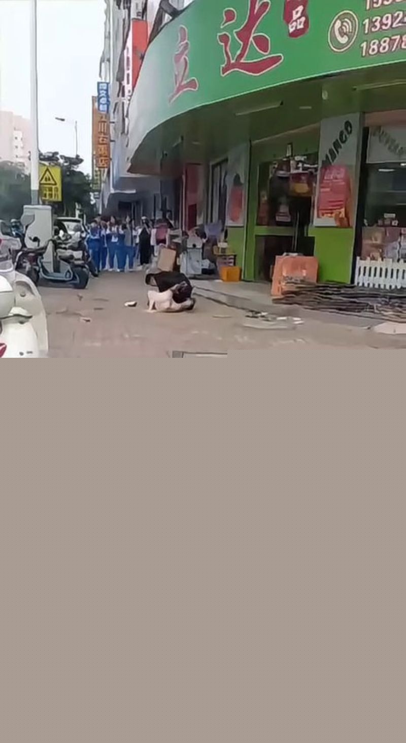 醉酒男子光天化日之下精虫上脑1 醉酒男子光天化日之下精虫上脑1