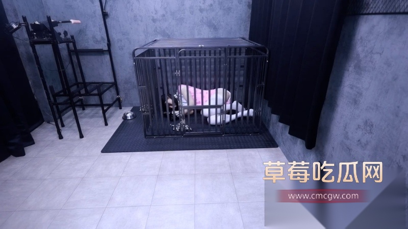 lemon调教BDSM极品奴隶全过程 1