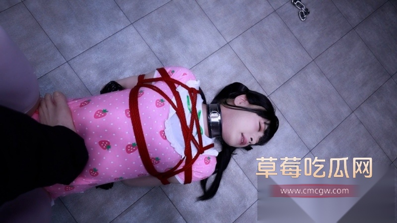 lemon调教BDSM极品奴隶全过程 8