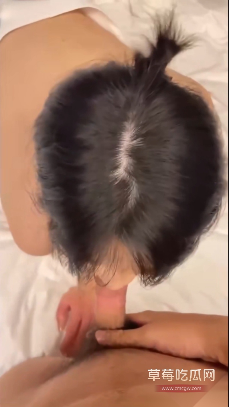 总华探长的小狗 13