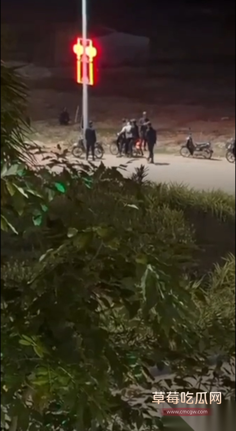 柬埔寨最黑暗园区 7 柬埔寨最黑暗园区 7